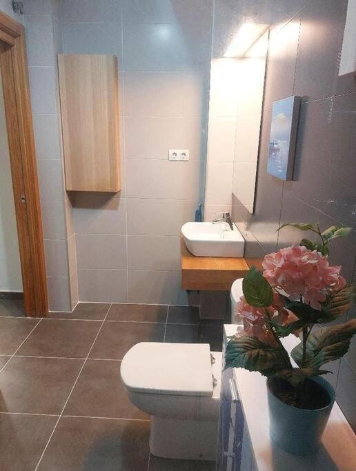 Lekitxoko Apartamento Vacacional Lekeitio Exteriér fotografie
